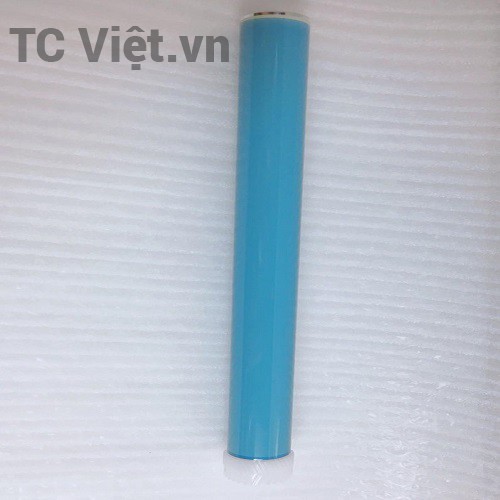 Trống 12A bao phấn TC Việt