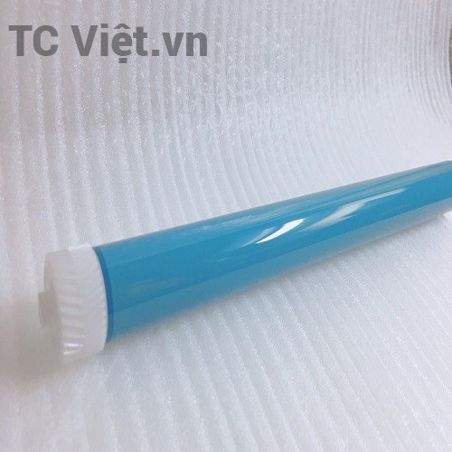 Trống 12A bao phấn TC Việt